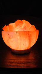 Individually Featured #77 - Fire / Abundance Bowl Salt Lamp