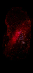 Individually Featured #101 - SUPER RARE VERY DARK Bedroom Salt Lamp